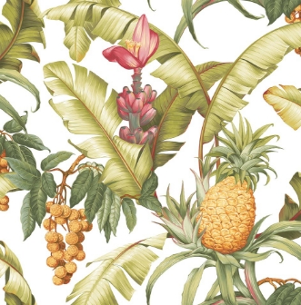 Picture of Maui Maui - TP80005