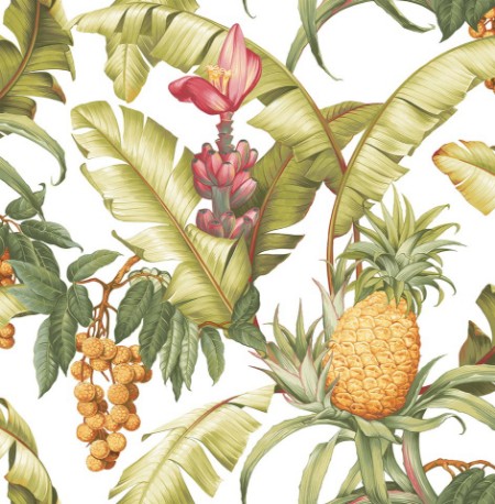 Picture of Maui Maui - TP80005