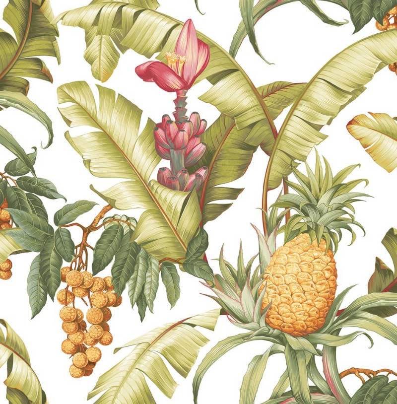 Picture of Maui Maui - TP80005