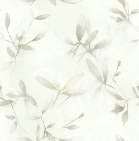 Picture of Jasmine - JA31808