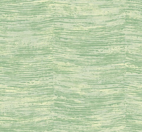 Picture of Jasmine - JA30504