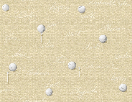 Bild på Destination USA - TH53605