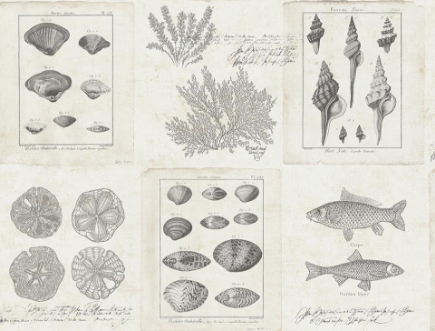 Bild på Destination USA - TH50908