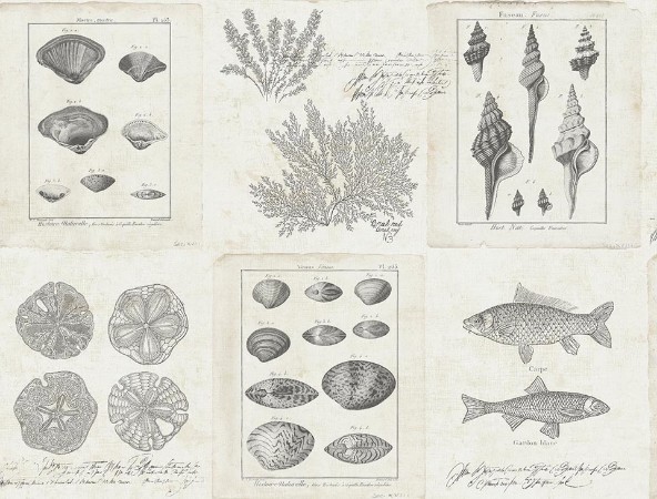 Picture of Destination USA - TH50908