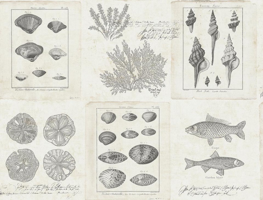 Bild på Destination USA - TH50908