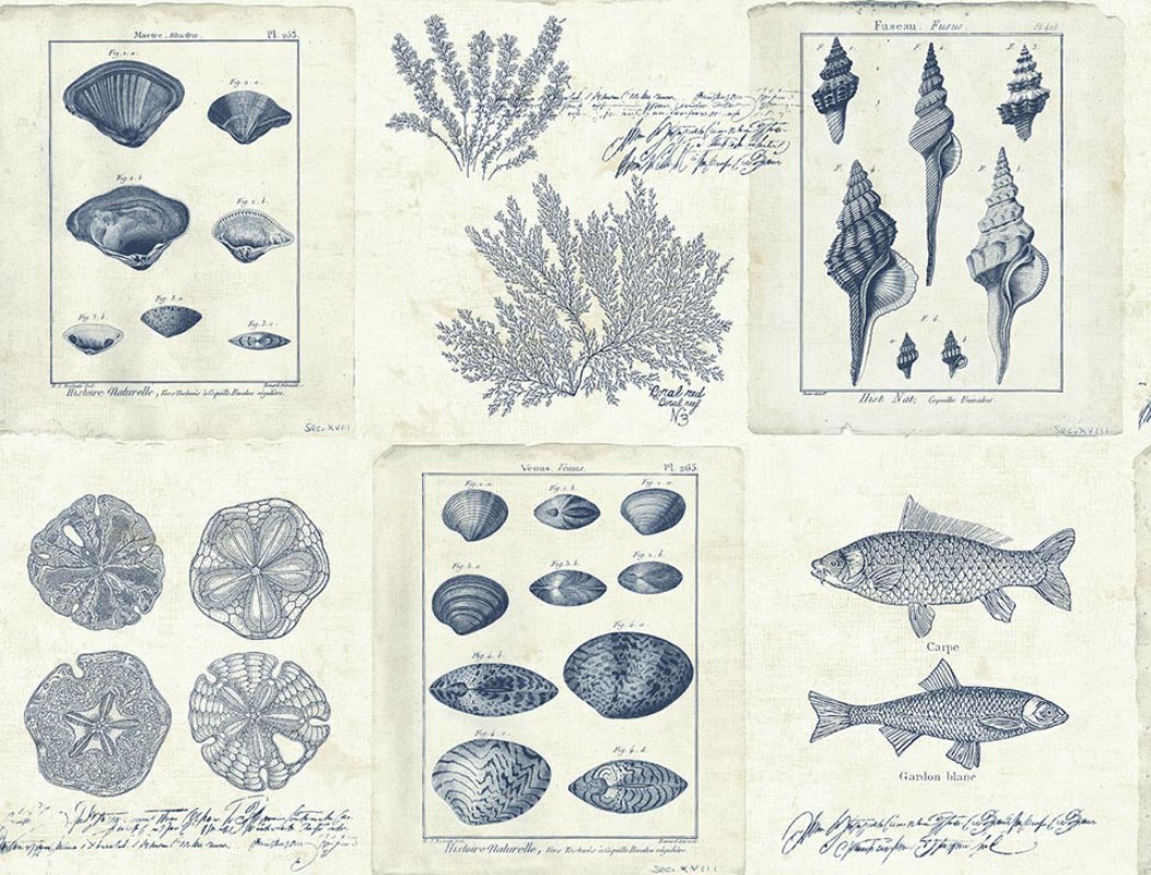 Picture of Destination USA - TH50902