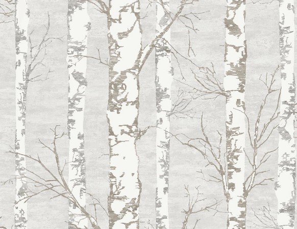 Picture of Destination USA - TH50208