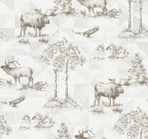 Picture of Destination USA - TH50108