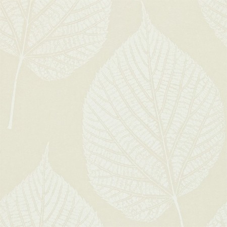 Picture of Leaf - HMOT110369