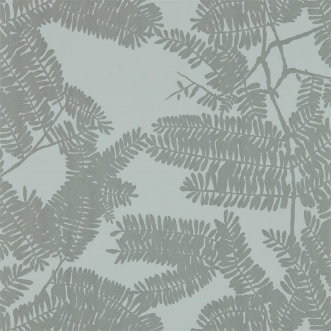 Image de Extravagance - HLUT111716