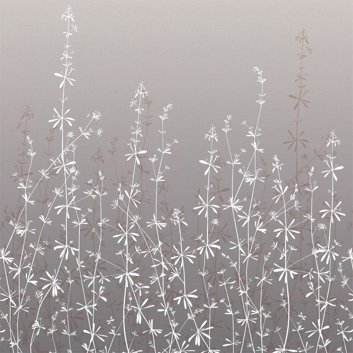 Obrazek Hortelano - HCLS111411