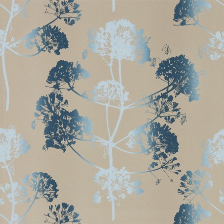 Obrazek Angeliki - HCLS111399