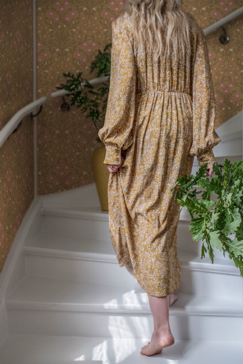 Picture of Bellis - 14018