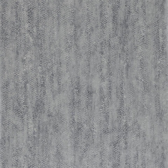 Afbeeldingen van Anaconda - ETES110709