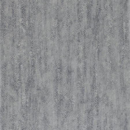 Afbeeldingen van Anaconda - ETES110709