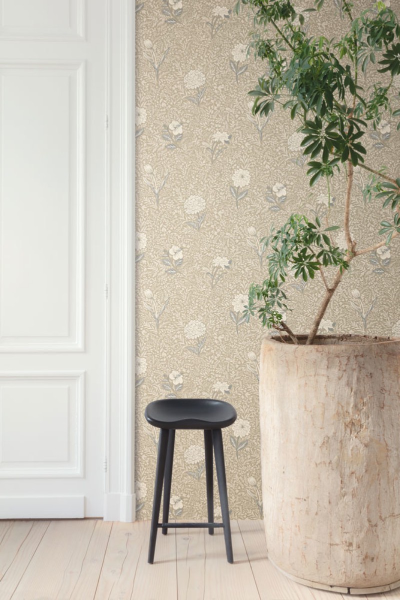 Bild på Olivia - OLI302