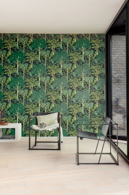 Bild på Olivia - OLI203