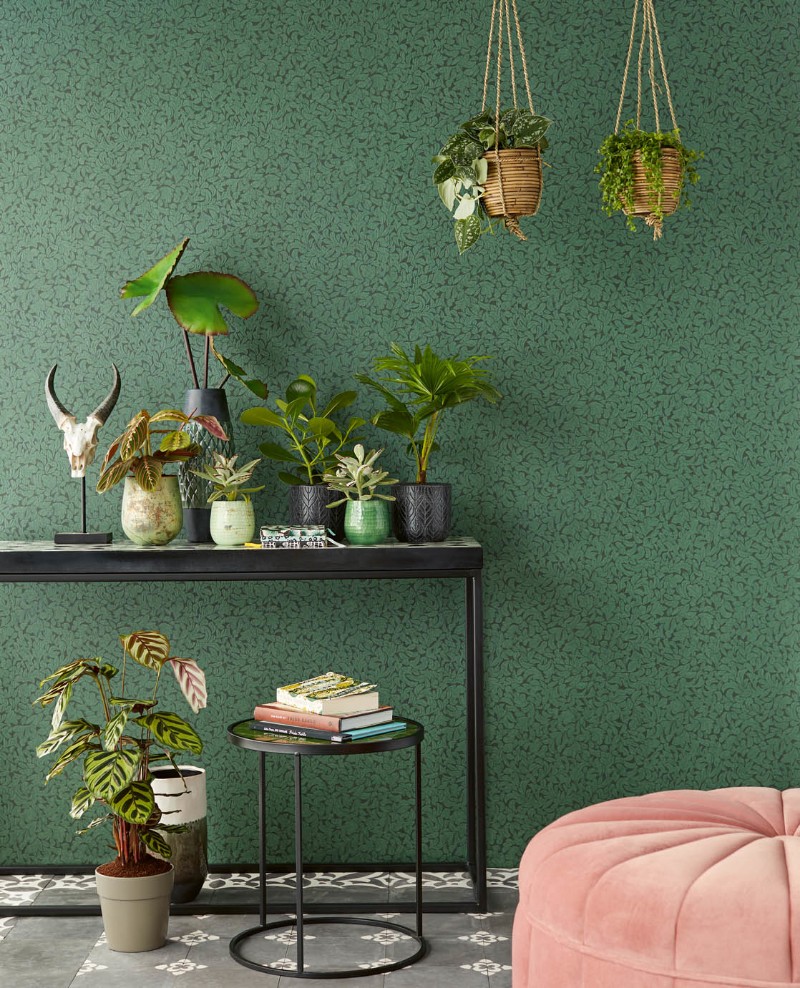 Picture of Carmen - 392554