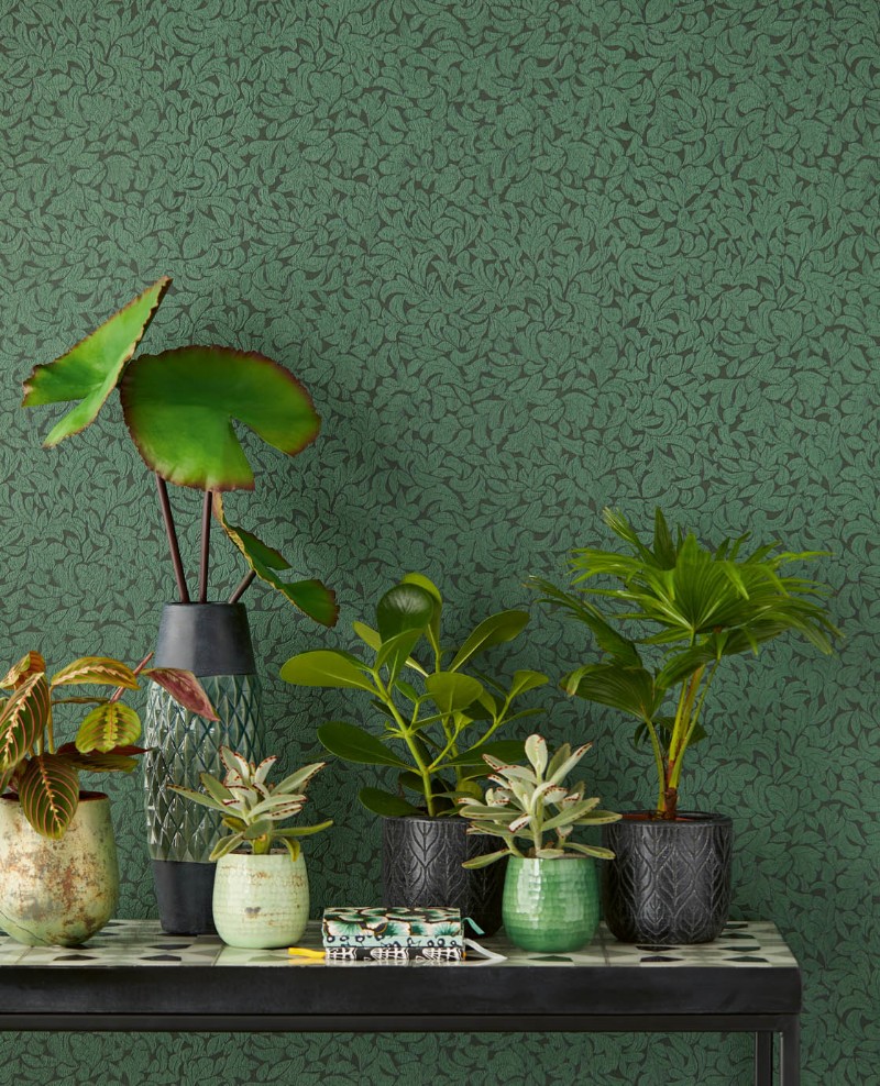 Picture of Carmen - 392554