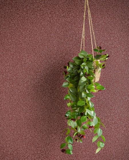 Picture of Carmen - 392543