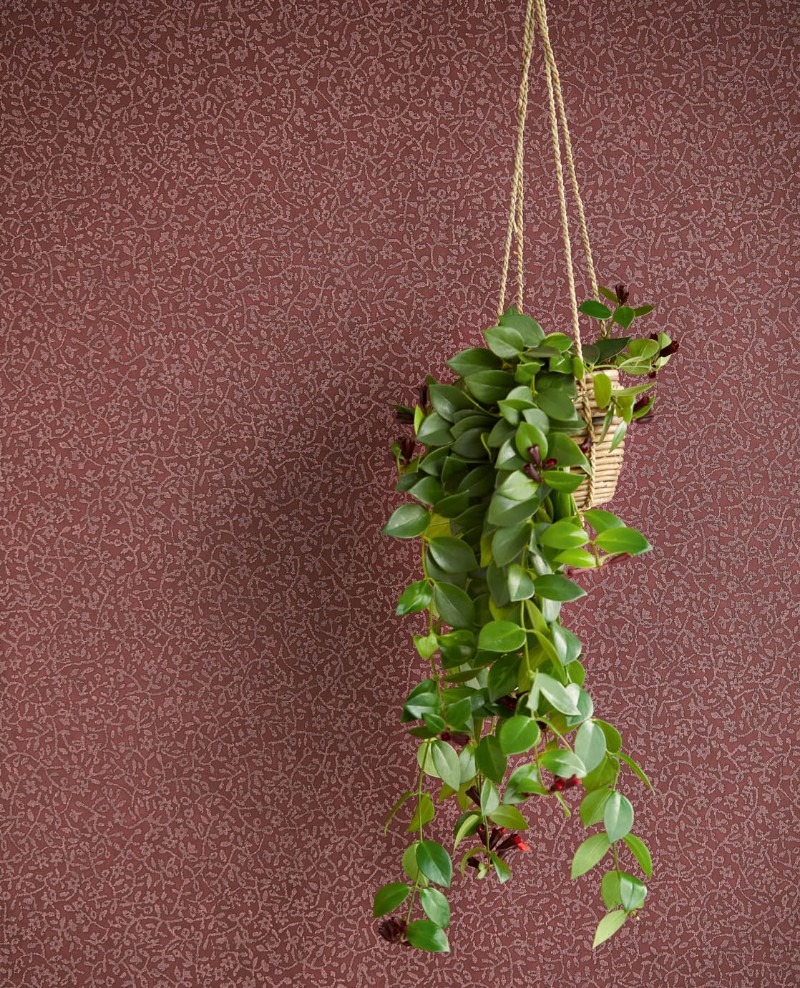 Picture of Carmen - 392543