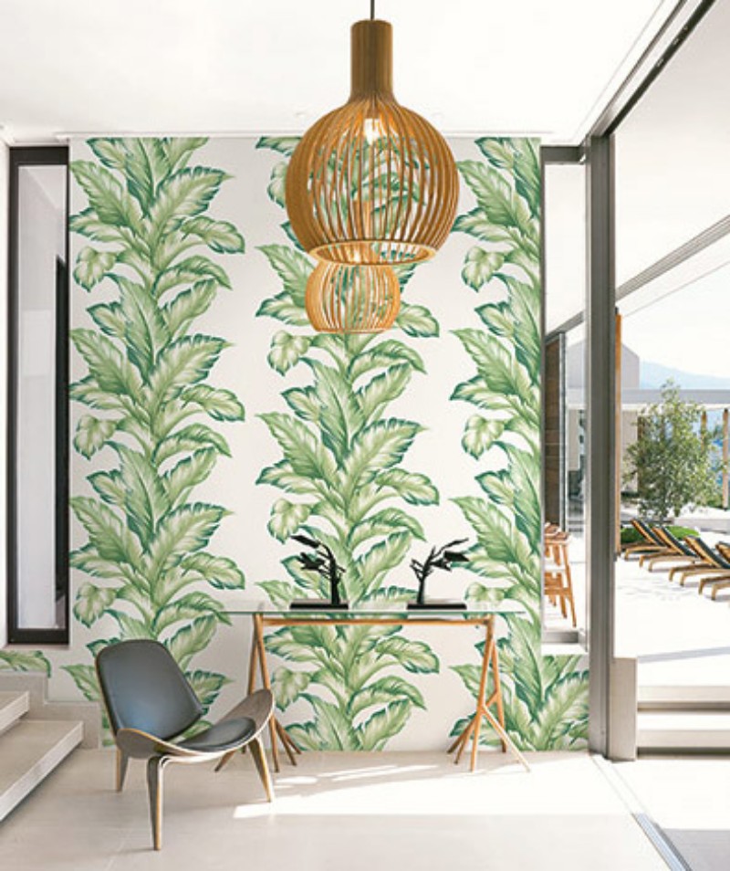 Picture of Maui Maui - TP81204