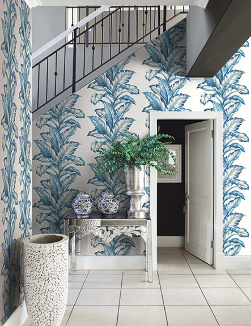 Image de Maui Maui - TP81202