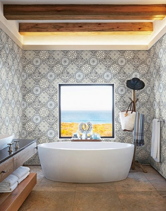 Picture of Maui Maui - TP80300