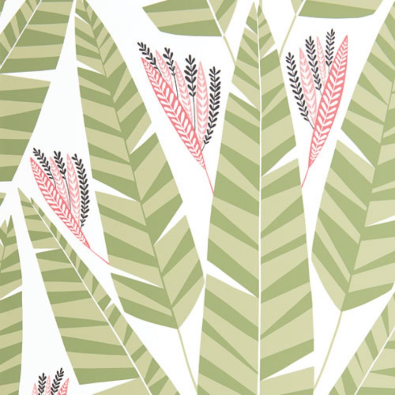 Picture of Jungle - MISP1348