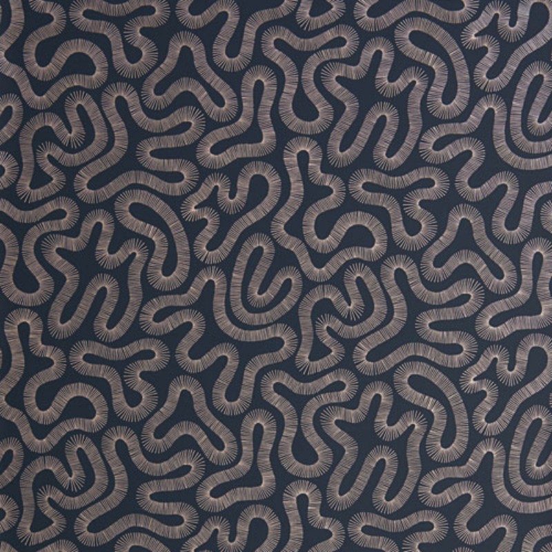 Picture of Coral - MISP1342