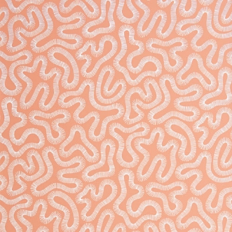 Bild på Coral - MISP1340