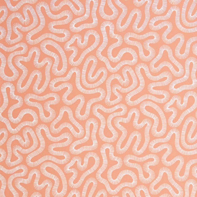 Picture of Coral - MISP1340