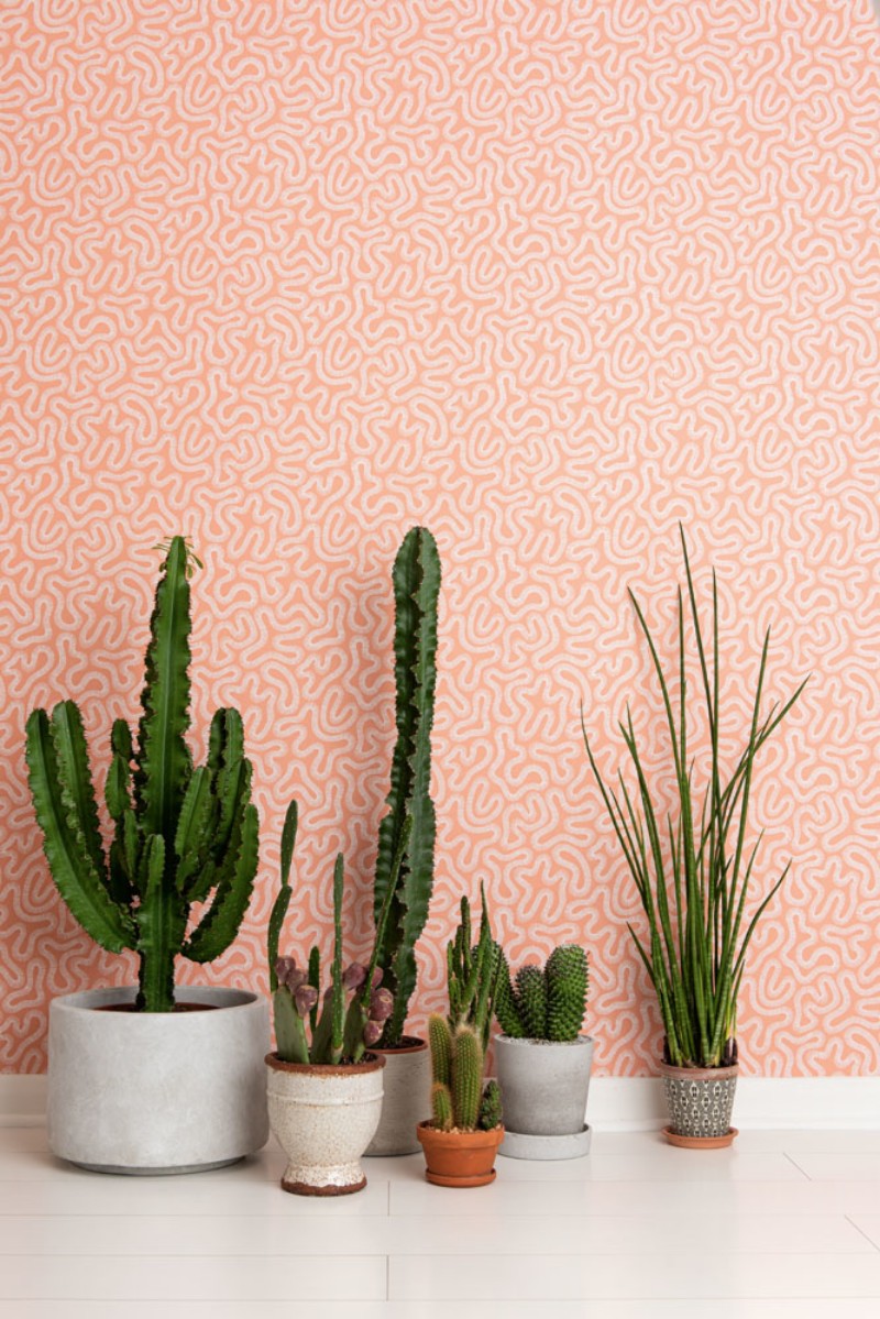 Picture of Coral - MISP1340