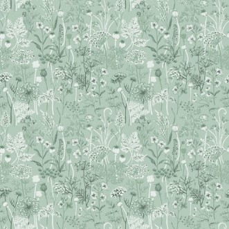 Image de Dara - 39023