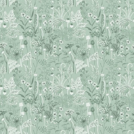 Image de Dara - 39023