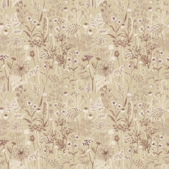 Image de Dara - 39020