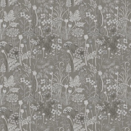 Image de Dara - 39019