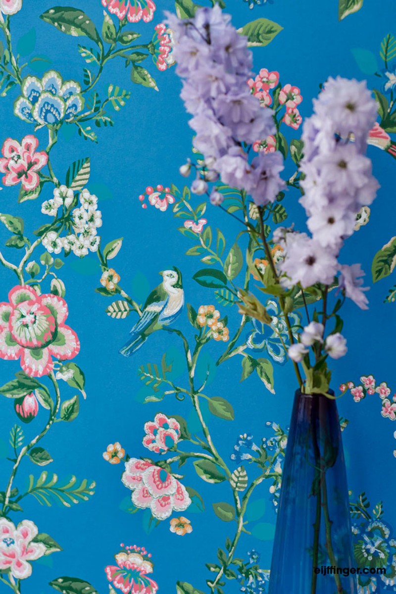 Afbeeldingen van PIP 2016 - 375066