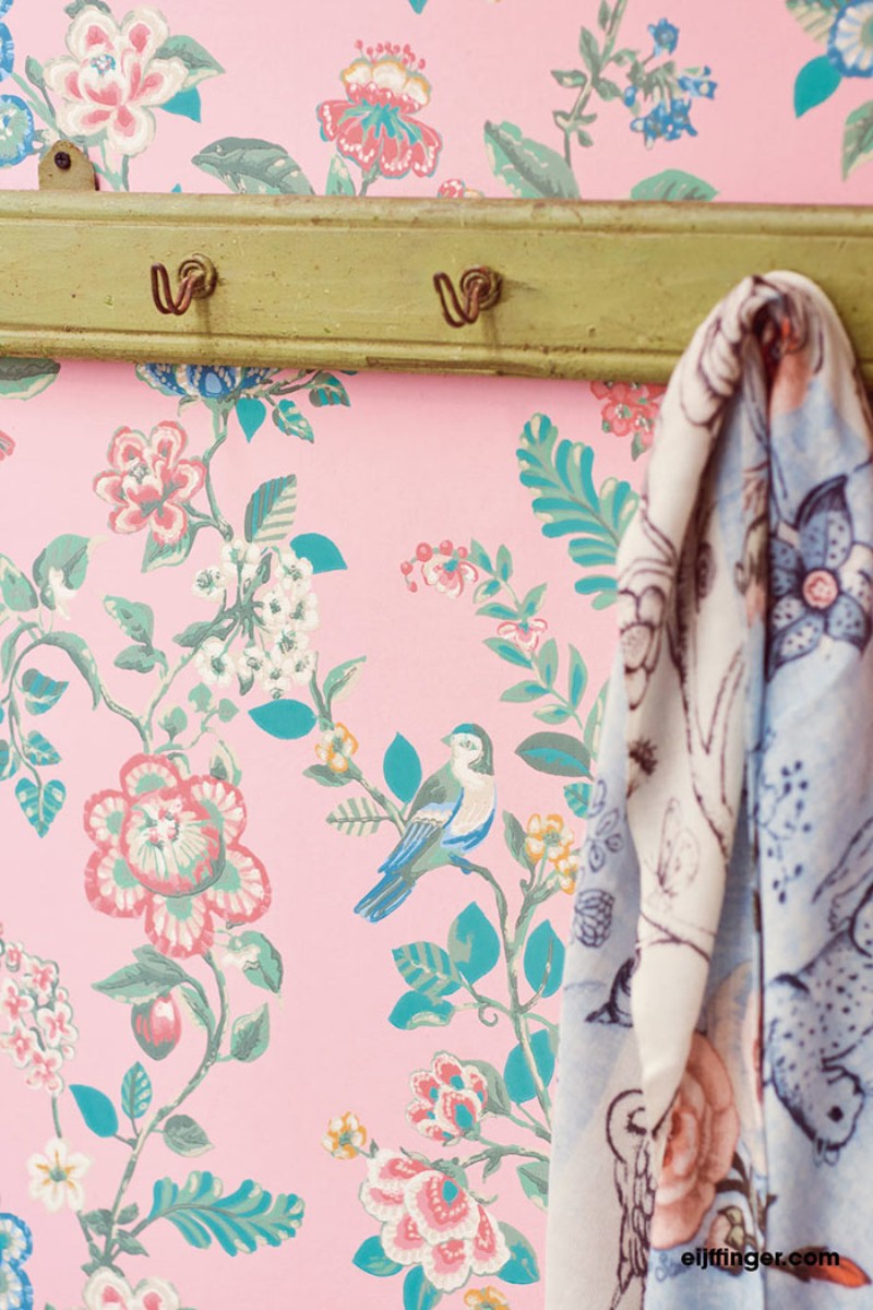 Picture of PIP 2016 - 375063