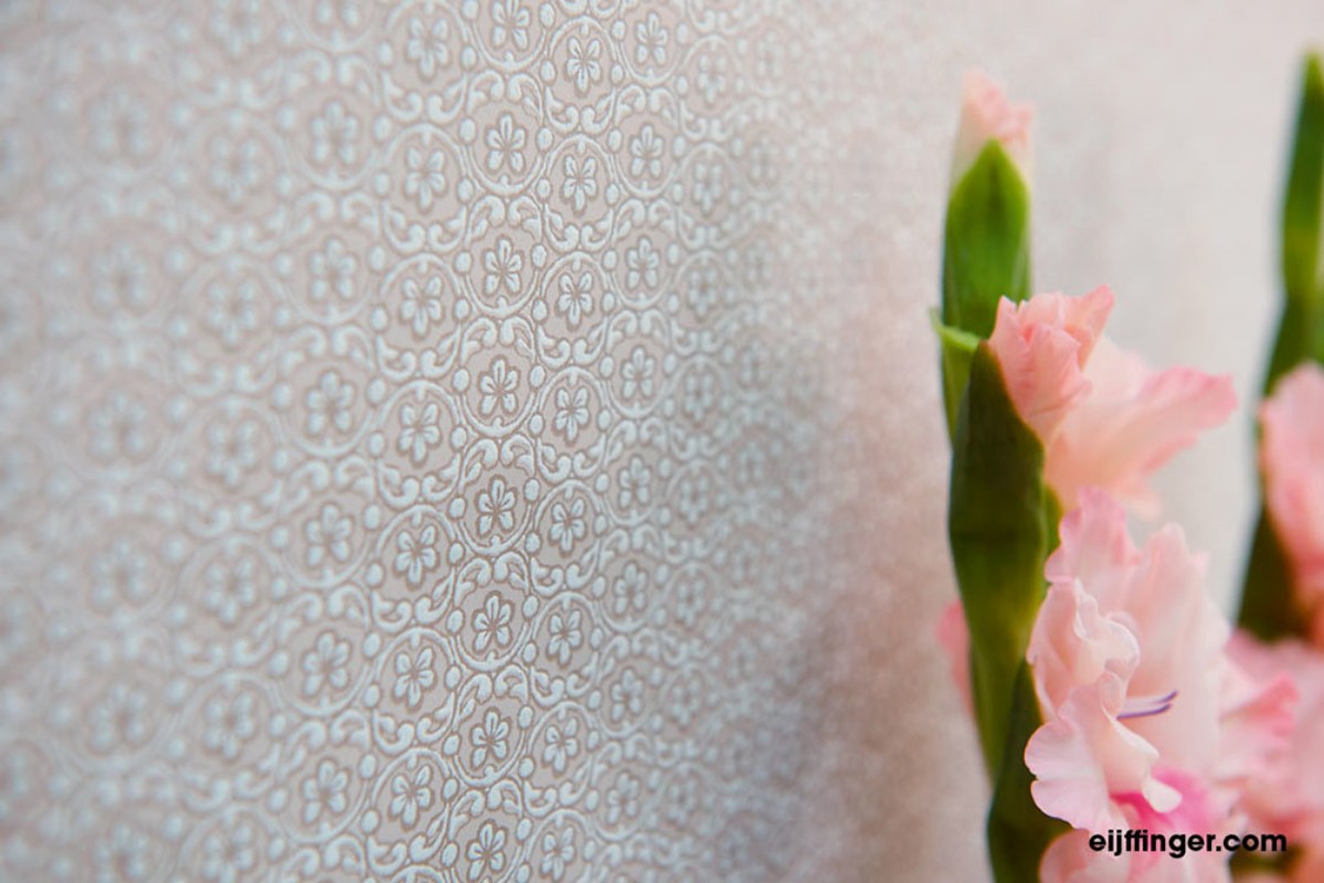 Picture of PIP 2016 - 375050