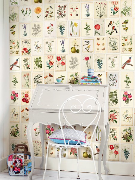 Image de PIP 2014 - 341086