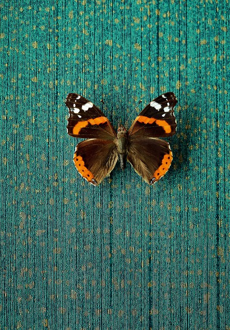 Image de Masterpiece - 358061