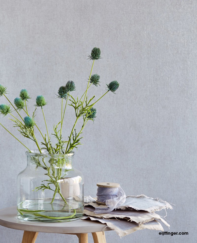 Picture of Lino - 379070