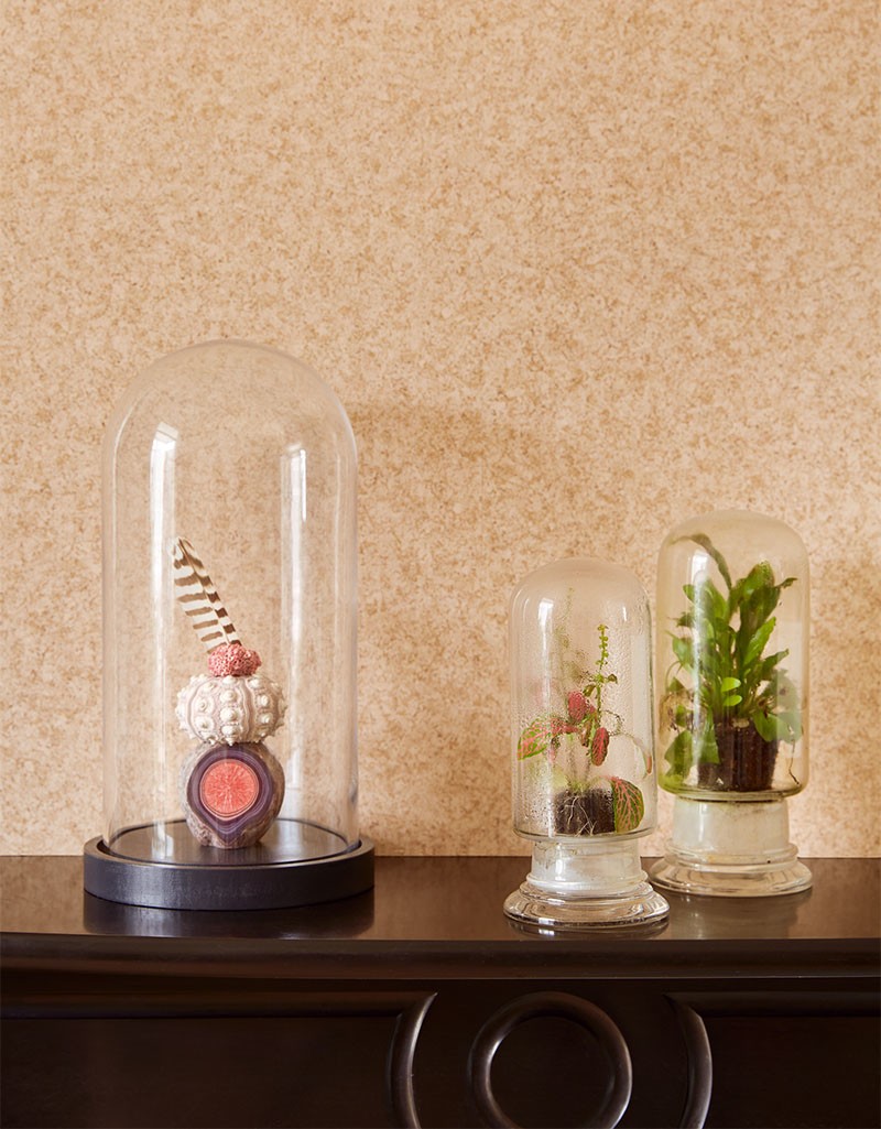 Bild på Geonature - 366090