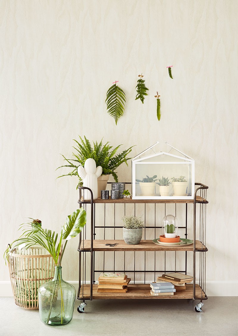 Bild på Geonature - 366008