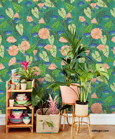 Picture of Rice 2 - 383605