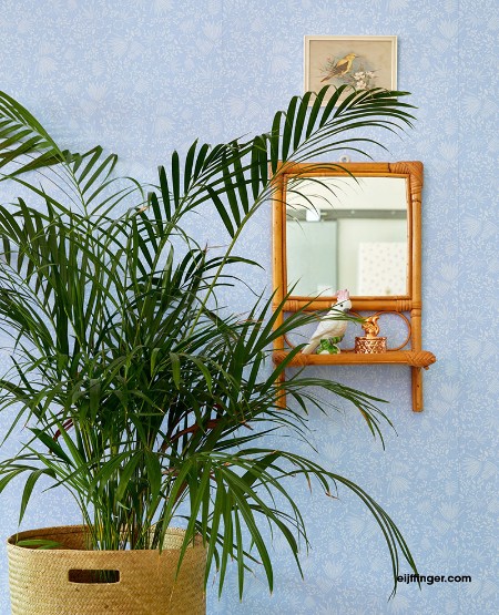 Picture of Rice 2 - 383543