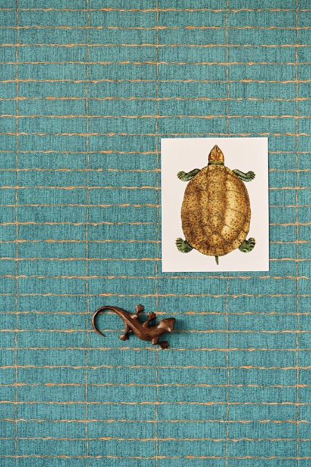 Picture of Siroc - 376071