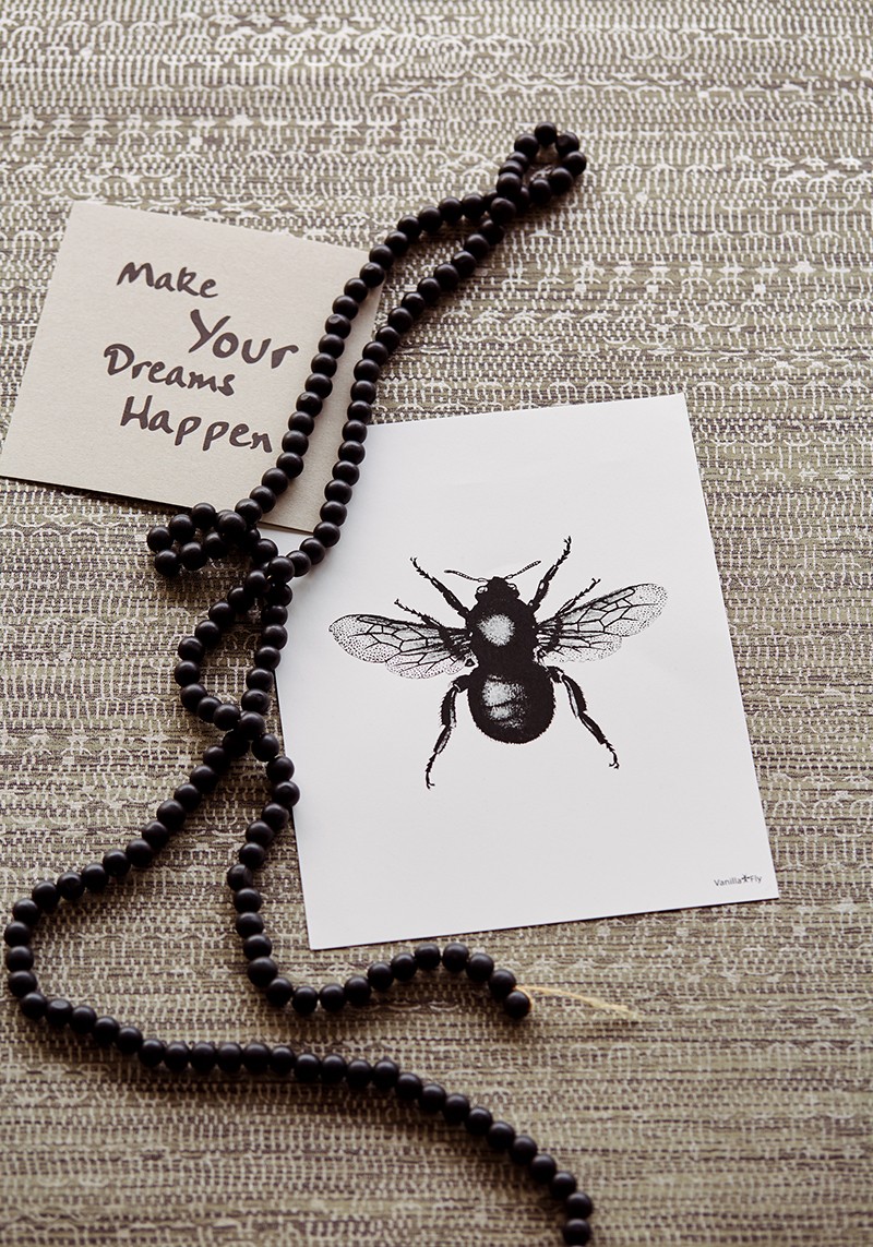 Picture of Siroc - 376048