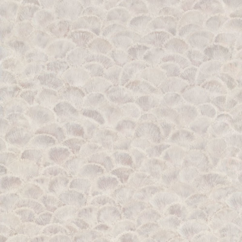 Picture of Fantasy - 220451